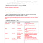23 Carbon Compounds Worksheet Answers Promotiontablecovers