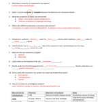 23 Carbon Compounds Worksheet Answers Promotiontablecovers