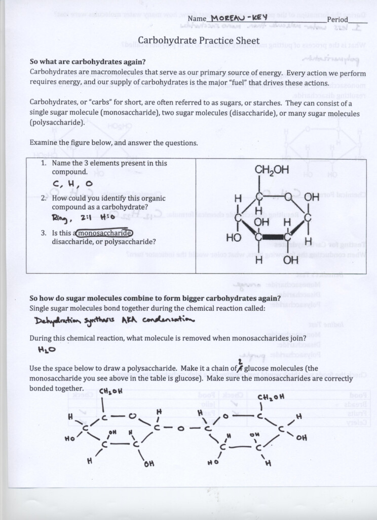 27 Biochemistry Basics Worksheet Answers Worksheet Project List