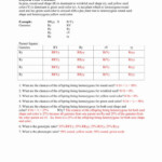 30 Dihybrid Cross Worksheet Answers Education Template