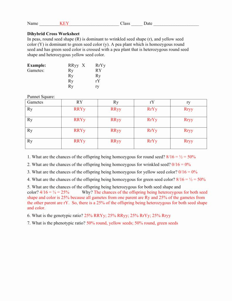 30 Dihybrid Cross Worksheet Answers Education Template