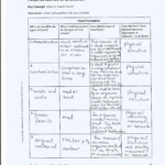 30 Evidence For Evolution Worksheet Answers Education Template