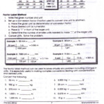 30 Factor Label Worksheet Labels Information List