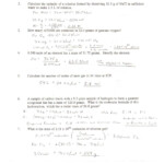 30 Percent Error Worksheet Answers Education Template