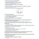 32 Chemistry Of Carbohydrates Worksheet Answers Worksheet Resource Plans