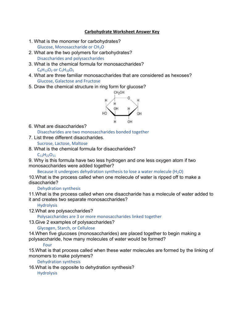 32 Chemistry Of Carbohydrates Worksheet Answers Worksheet Resource Plans