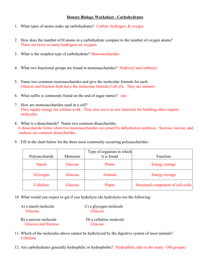 32 Chemistry Of Carbohydrates Worksheet Answers Worksheet Resource Plans