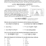 35 Orbital Diagram Worksheet With Answers Wiring Diagram Database