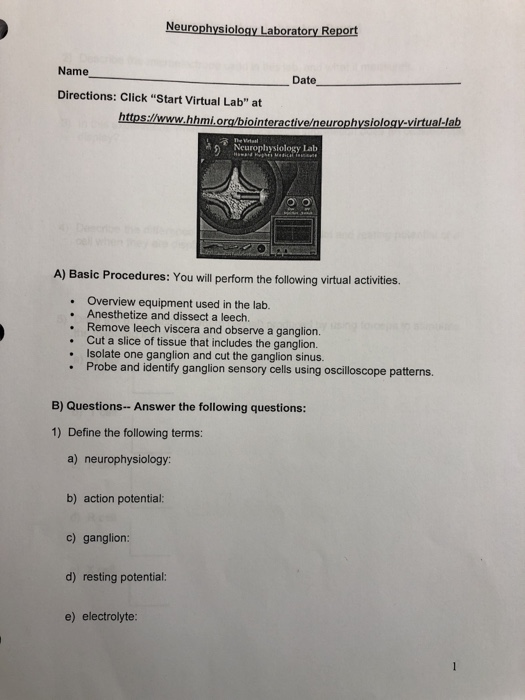 39 Lab Equipment Names Worksheet Answers Combining Like Terms Worksheet