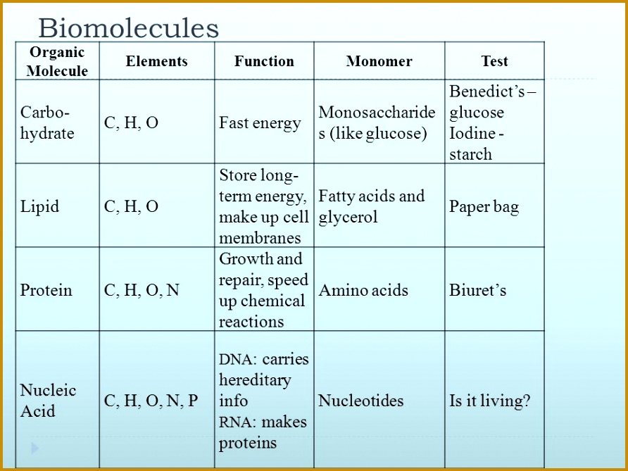 4 Organic Molecules Worksheet Review FabTemplatez
