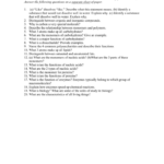 41 Chemistry Of Life Worksheet Answers Combining Like Terms Worksheet