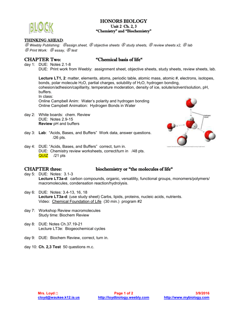 41 Chemistry Of Life Worksheet Answers Combining Like Terms Worksheet