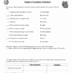 50 Cellular Respiration Worksheet Answer Key Chessmuseum Template Library