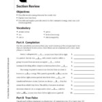 6 3 Periodic Trends Worksheet Answers Worksheet