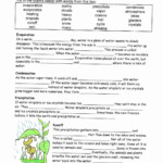 6th Grade Science Worksheets With Answer Key WERT SHEET