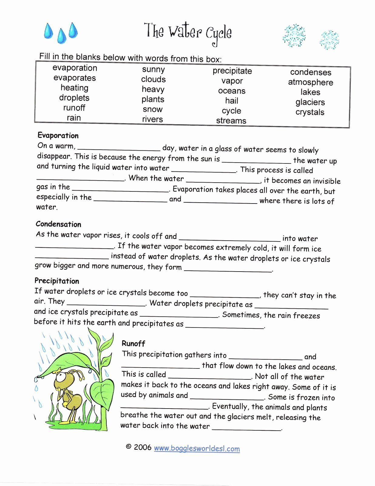 6th Grade Science Worksheets With Answer Key WERT SHEET