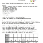 Acids And Bases Answer Key Bomtron