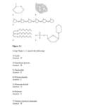 Anatomy And Physiology Chemistry Comes Alive 2 1 Matching