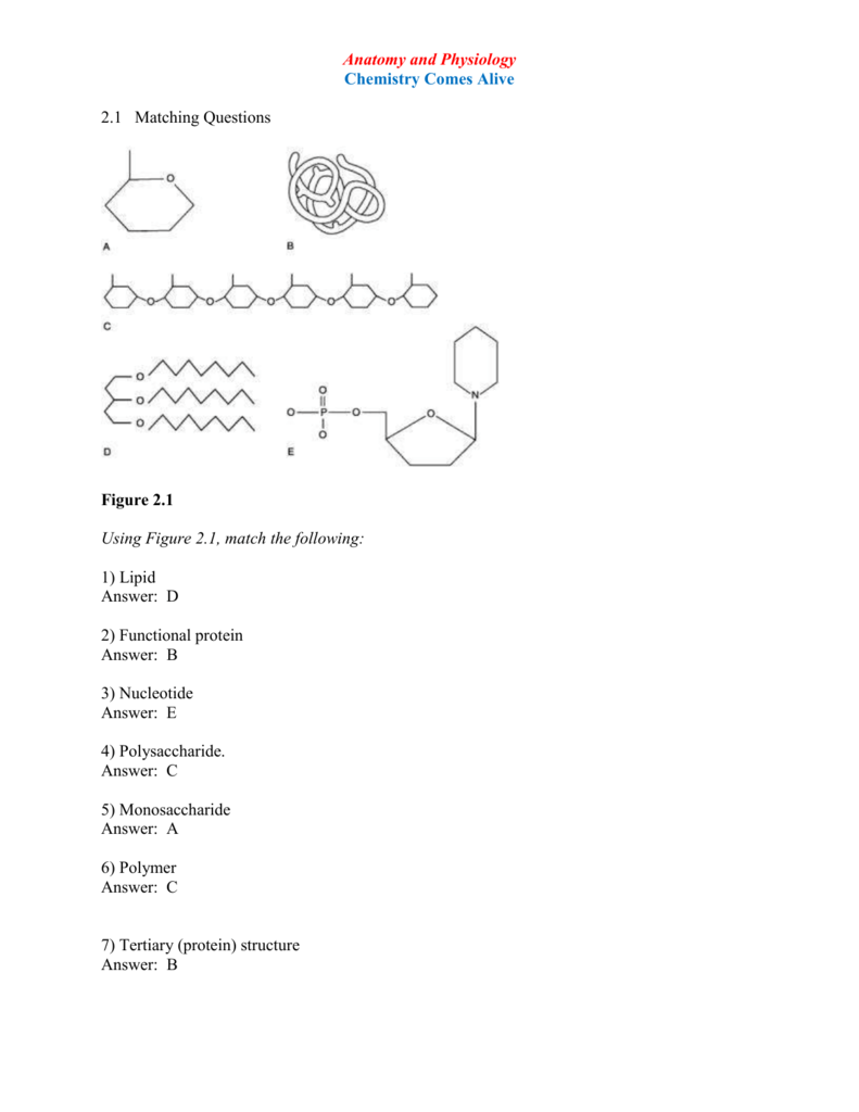 Anatomy And Physiology Chemistry Comes Alive 2 1 Matching