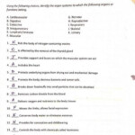 Anatomy And Physiology Coloring Workbook Answers Chapter 2 Anatomy