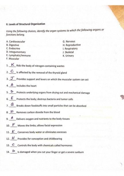 Anatomy And Physiology Coloring Workbook Answers Chapter 2 Anatomy 