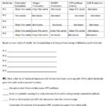 Atp Worksheet Answer Key Nidecmege