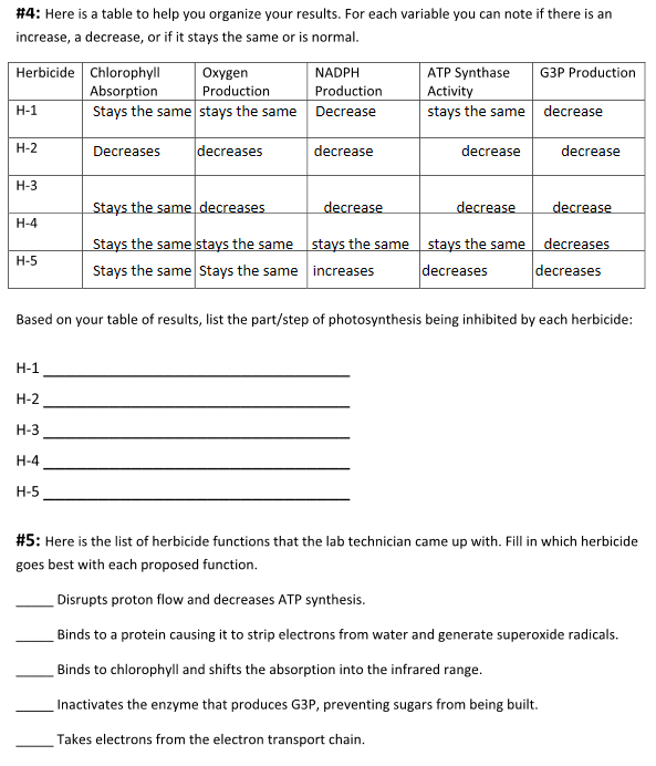 Atp Worksheet Answer Key Nidecmege