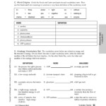 Atp Worksheet Answer Key Promotiontablecovers