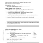 Bestseller Chapter 11 Introduction To Genetics Worksheet Answers