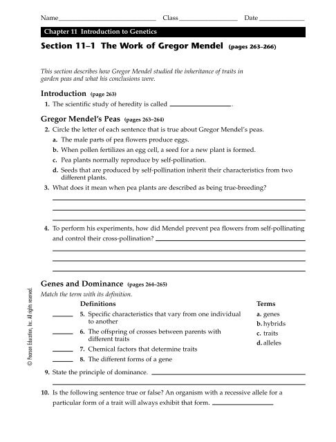 Bestseller Chapter 11 Introduction To Genetics Worksheet Answers