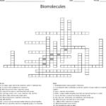 Biological Molecules Worksheet Answer Key Promotiontablecovers