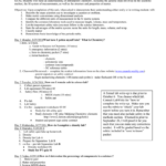 Chapter 1 Introduction To Chemistry Worksheet Answers