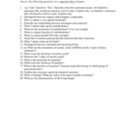 Chapter 2 The Chemistry Of Life Worksheet Answers Db excel