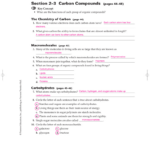 Chapter 6 The Chemistry Of Life Worksheet Answer Key Db excel