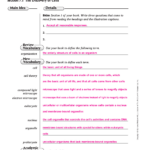 Chapter 7 Cell Structure And Function Worksheet Answer Key Db excel