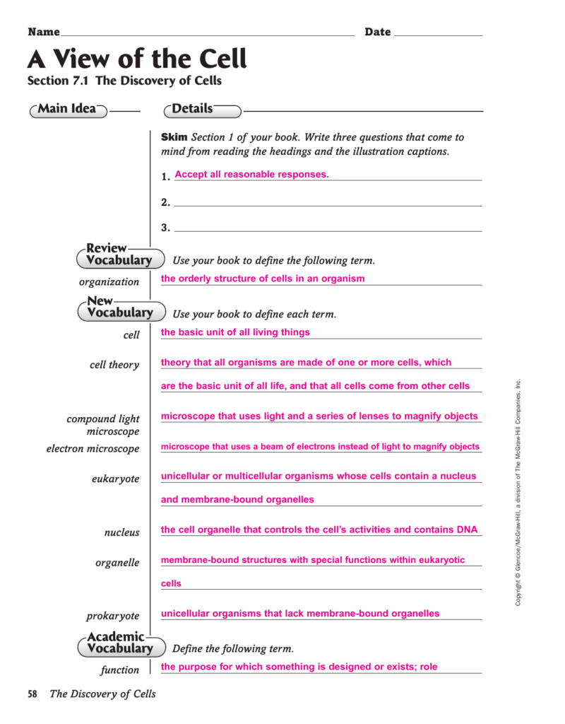 Chapter 7 Cell Structure And Function Worksheet Answer Key Db excel