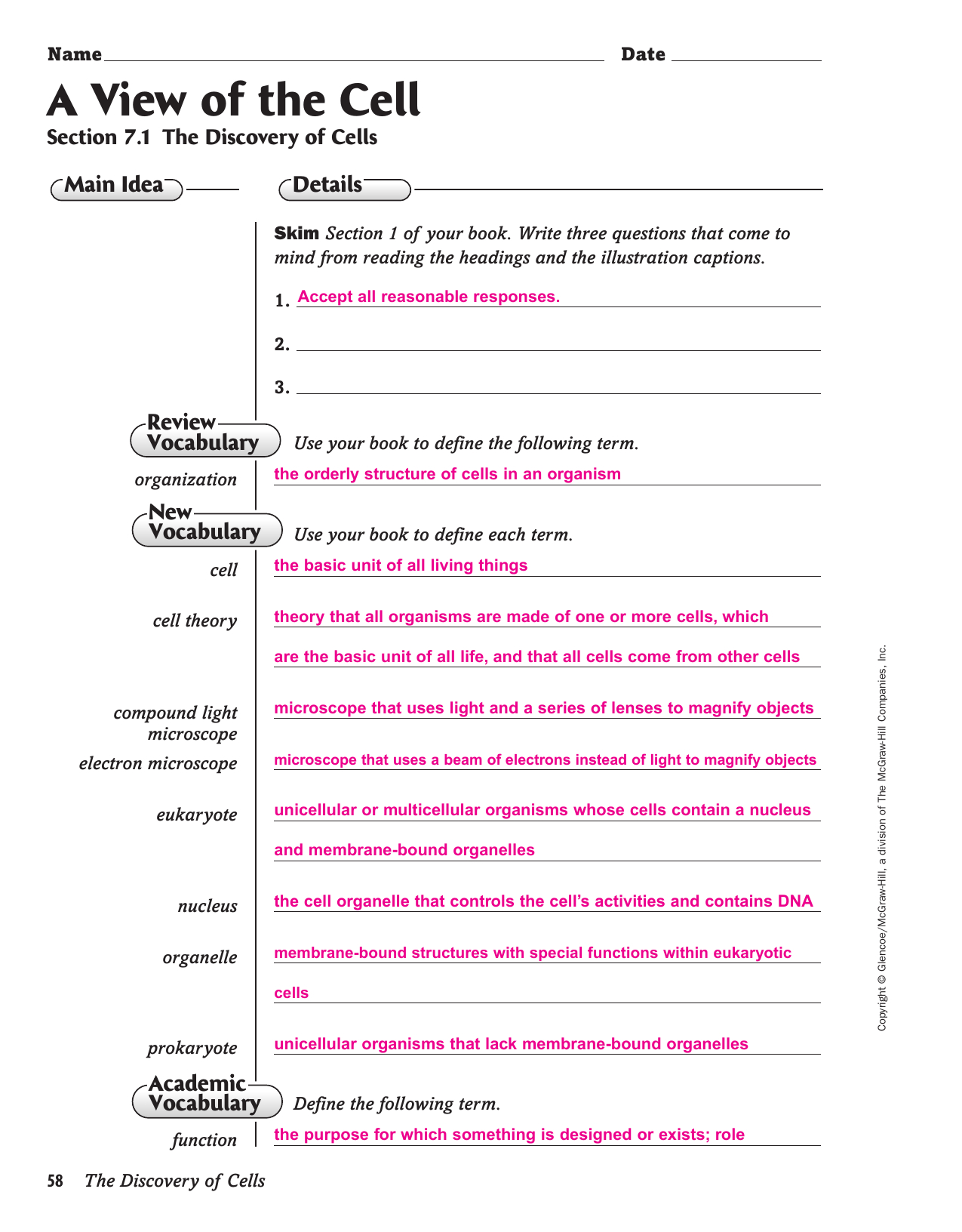 Chapter 7 Cell Structure And Function Worksheet Answer Key Db excel