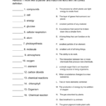 Chemical Reactions Vocabulary Review Answers