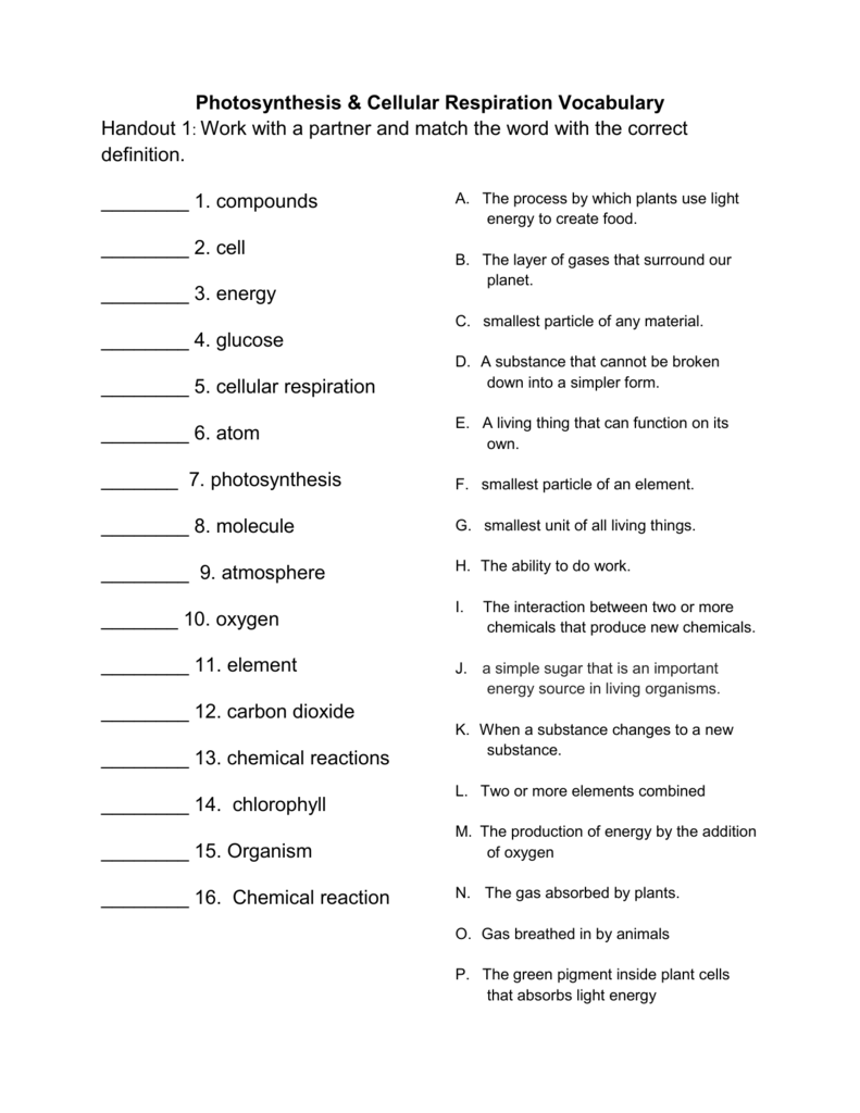 Chemical Reactions Vocabulary Review Answers