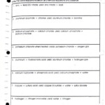 Chemistry Balancing Chemical Equations Worksheet Answer Key