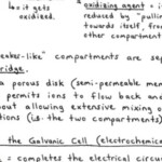 Chemistry If8766 Metrics And Measurement Answer Key Worksheetpedia