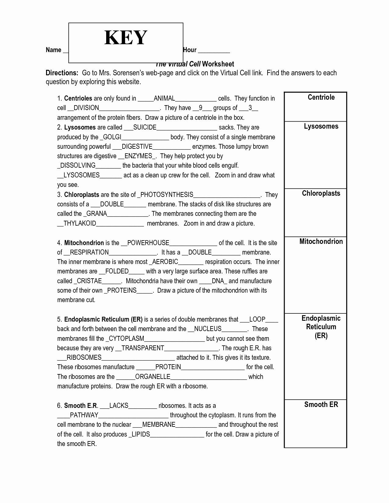 Chemistry In Biology Chapter 6 Worksheet Answers Db excel