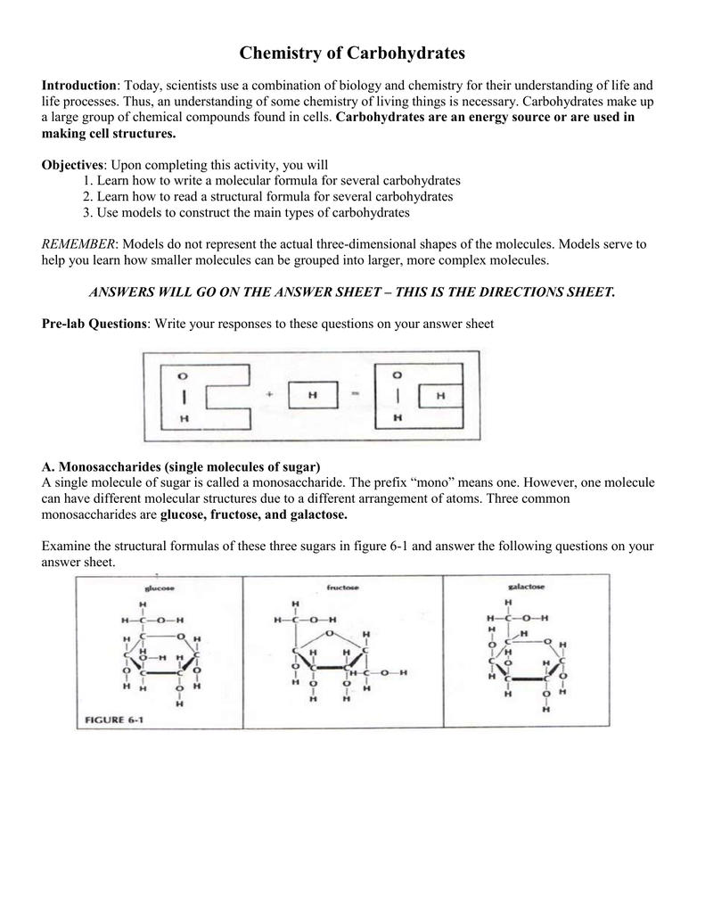 Chemistry Of Carbs Activity 6 0