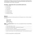 Chemistry Of Fats And Proteins Worksheet Answers Nidecmege