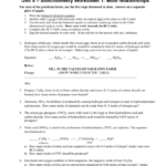 Chemistry Unit 8 Reaction Equations Worksheet 1 Answers Tessshebaylo