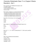 Class 11 Chemistry Worksheet On Chapter 8 Redox Reactions Set 3