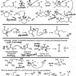 Dr Starkey s CHM 201 Elements Of Organic Chemistry