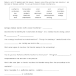 Endothermic And Exothermic Reactions Cloze Test Worksheet