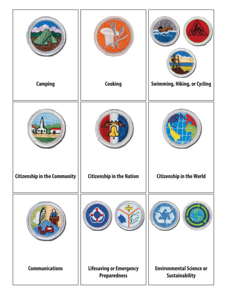 Family Life Merit Badge Worksheet Pdf Worksheet