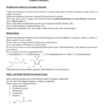 Functional Group Practice Worksheet Worksheet List